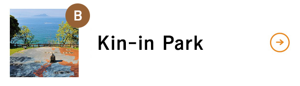 Kin-in Park