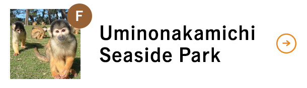Uminonakamichi Seaside Park